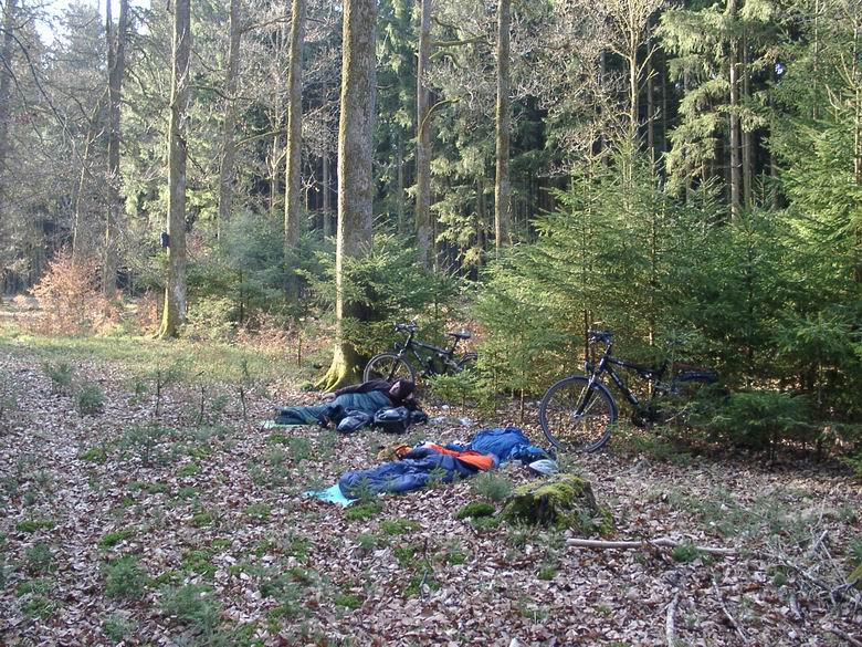 Schlafplatz im Ebersberger Forst